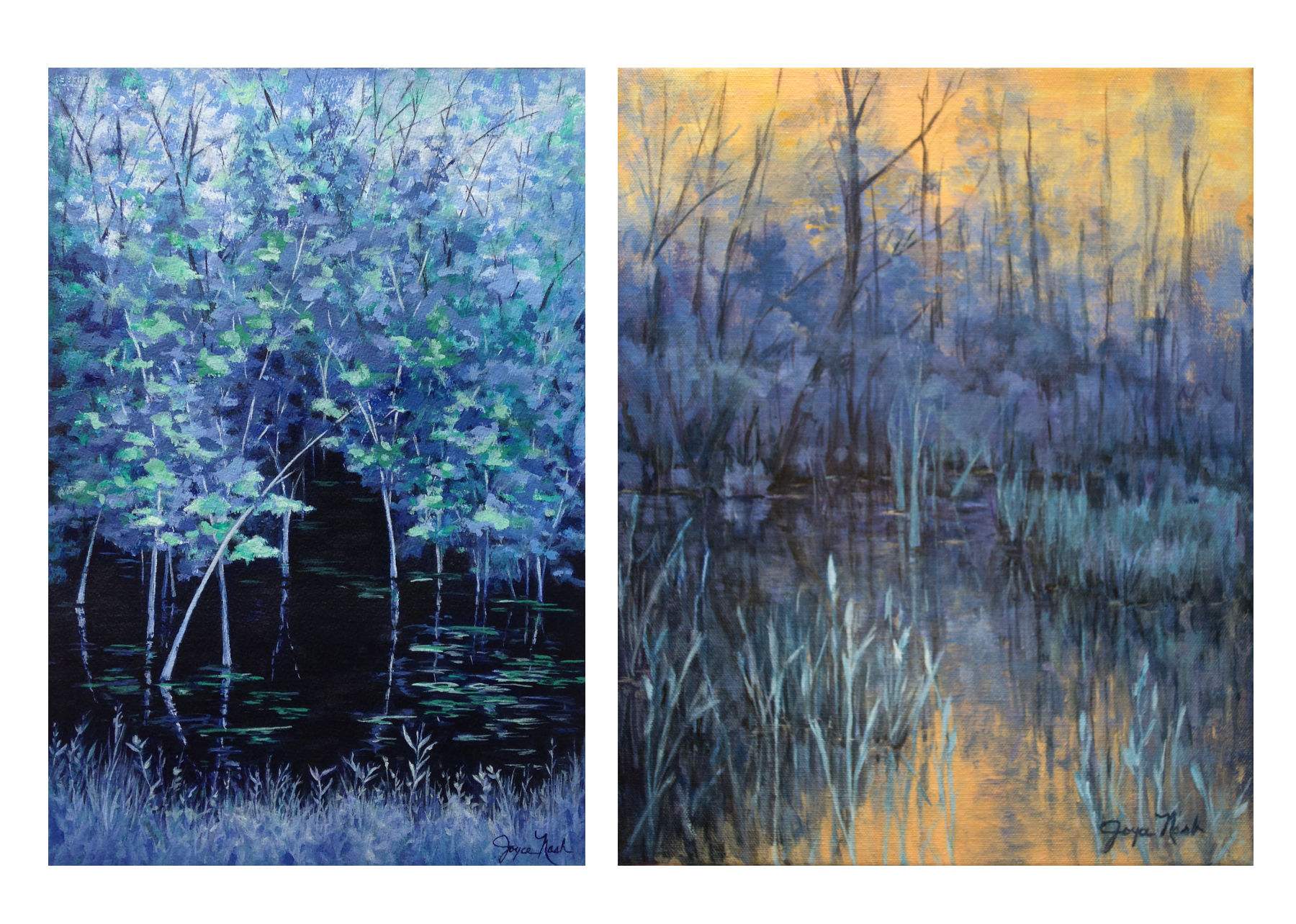 Keeping It Cool Sanctuary